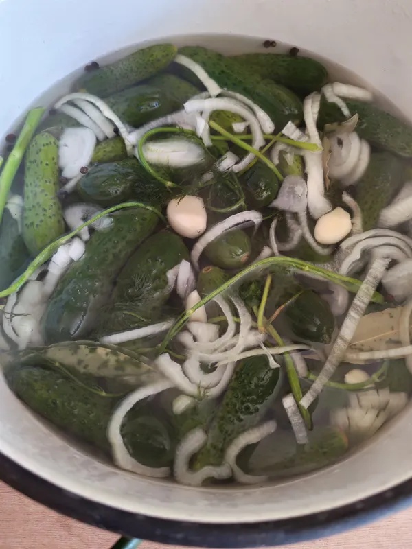 Pickled Cucumbers